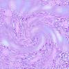 Background 16