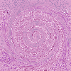 Background 28
