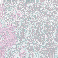 Background 55