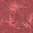 Background 66